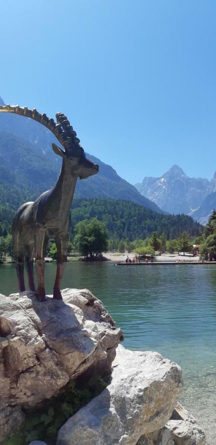 Apartamento Nigritella Kranjska Gora Exterior foto