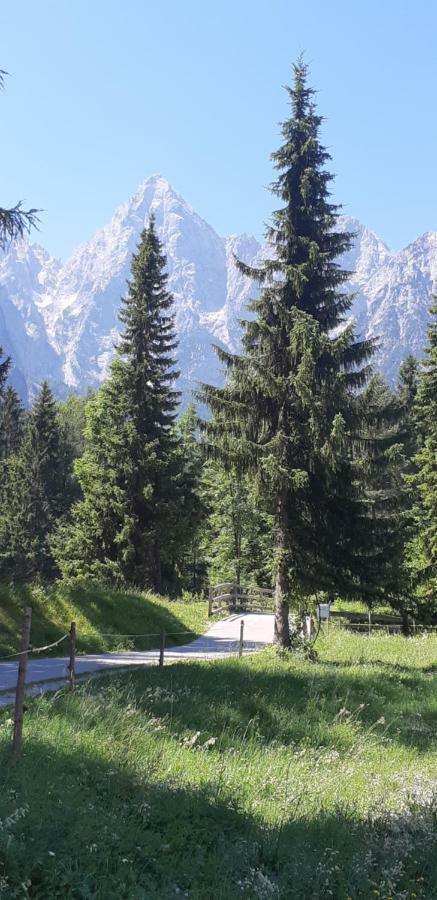 Apartamento Nigritella Kranjska Gora Exterior foto